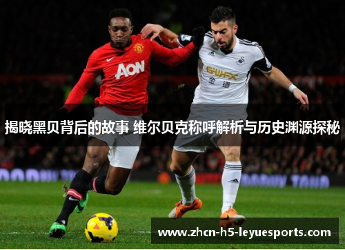 揭晓黑贝背后的故事 维尔贝克称呼解析与历史渊源探秘 揭晓黑贝背后的故事 维尔贝克称呼解析与历史渊源探秘