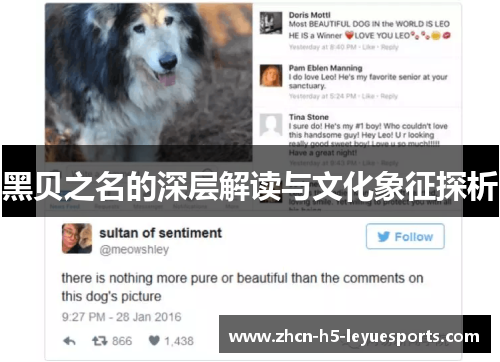 黑贝之名的深层解读与文化象征探析